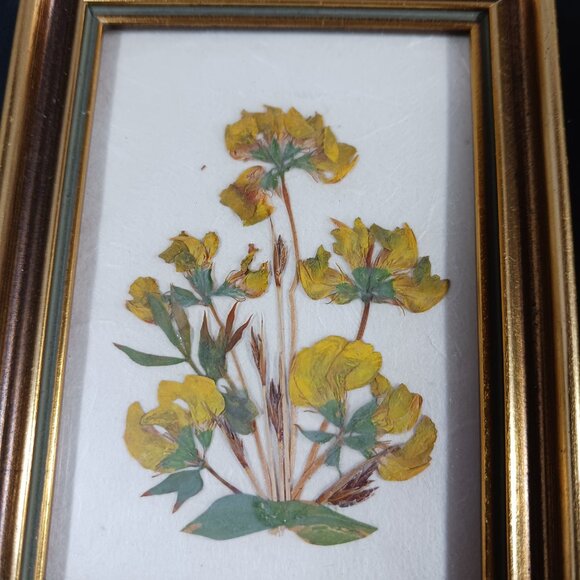 Vintage 2 Pressed Flower Frames Broadway - Picture 3 of 9